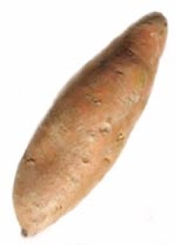 Yam - 3 letter word for "A Starchy staple of Africa"