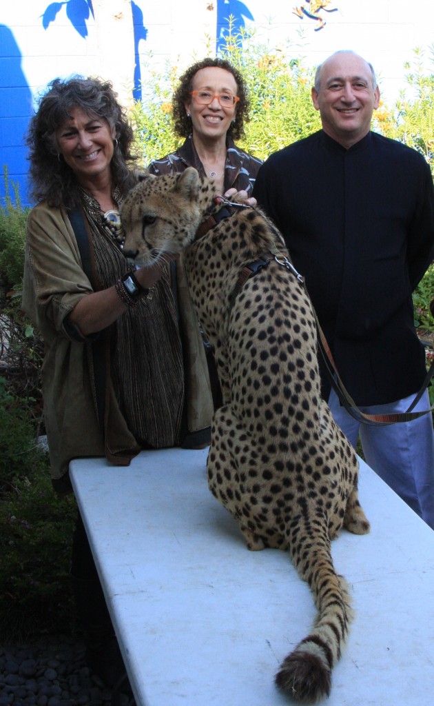Victor the Cheetah