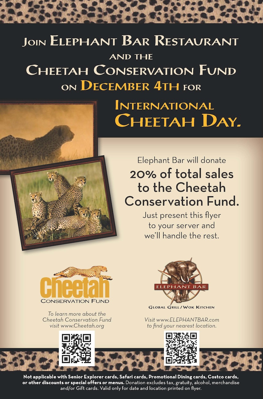 CCF EB International Cheetah Day Flyer