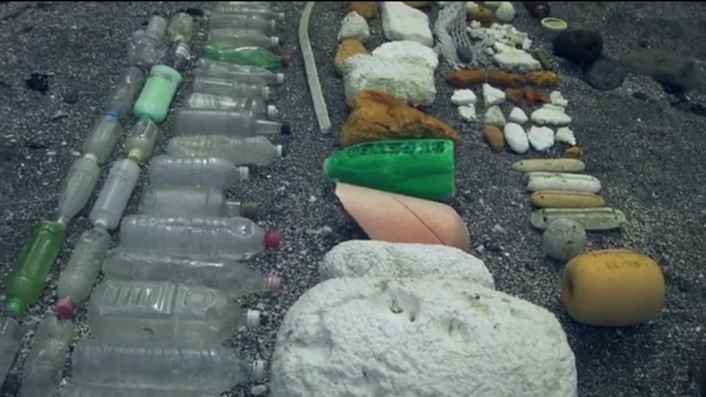 Some of the Garbage Found Along the Coastline on Washington’s Roadless Coast