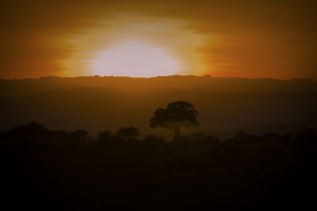 Sunset Over Baobob - By John Ealer - Nairobi - Kenya