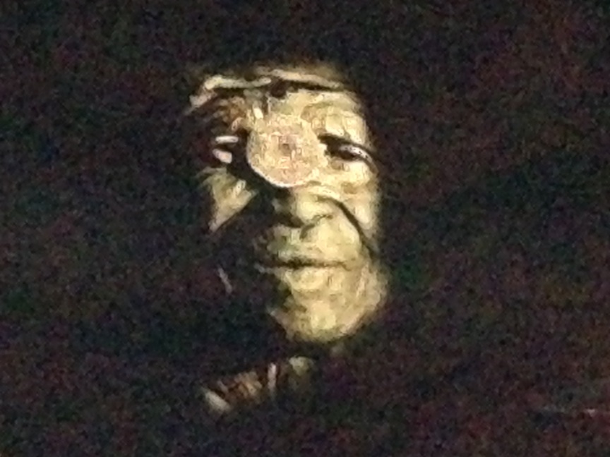 Namibian Projected On Canyon Wall