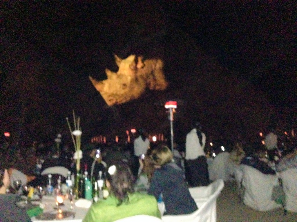 Rhino Projected On Wall