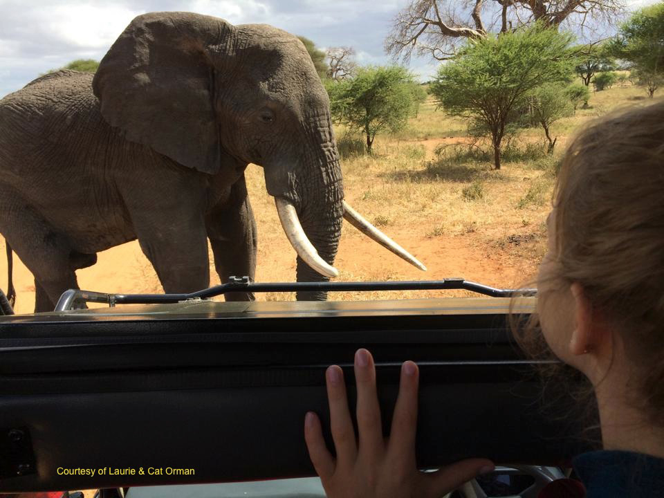 Up Close & Personal on an Infinite Safari Adventures Safari