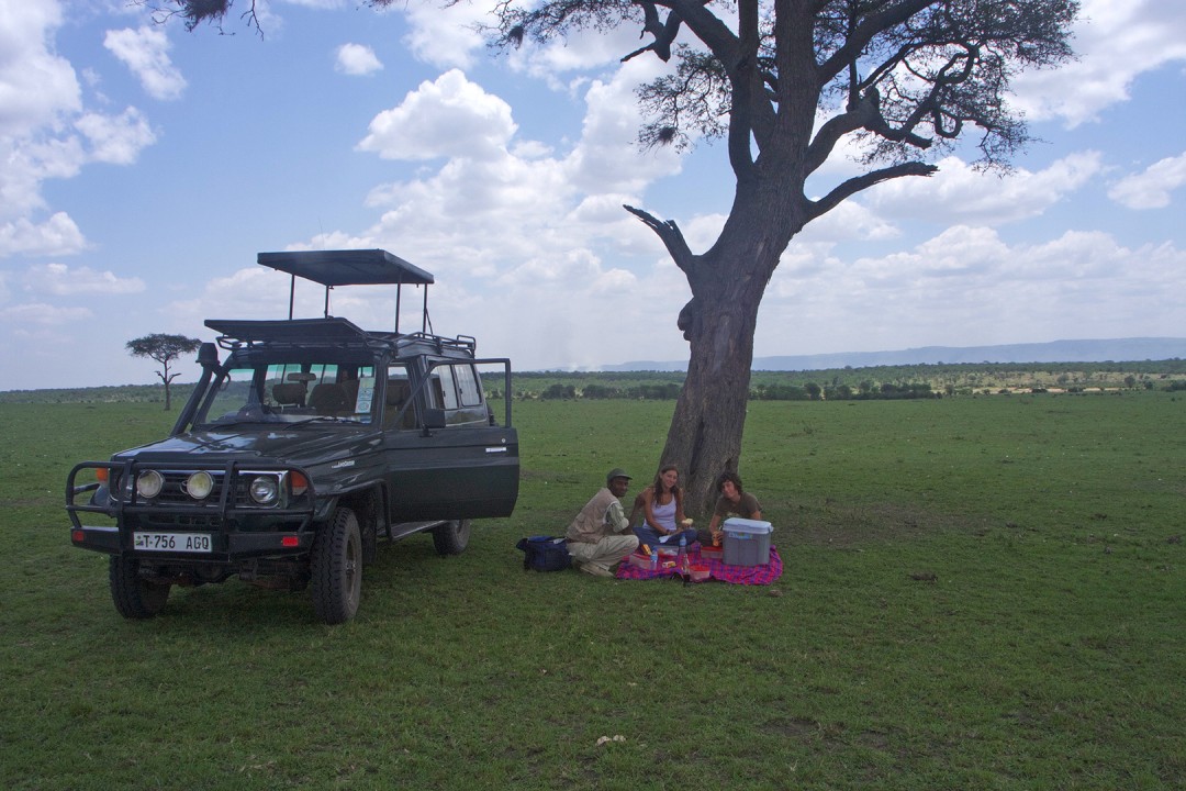 Picnicking In The Serengeti