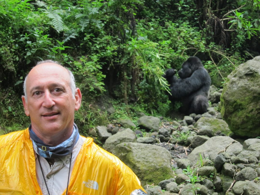 Gorilla Trekking - What You Need to Know - Infinite Safari Adventures ...